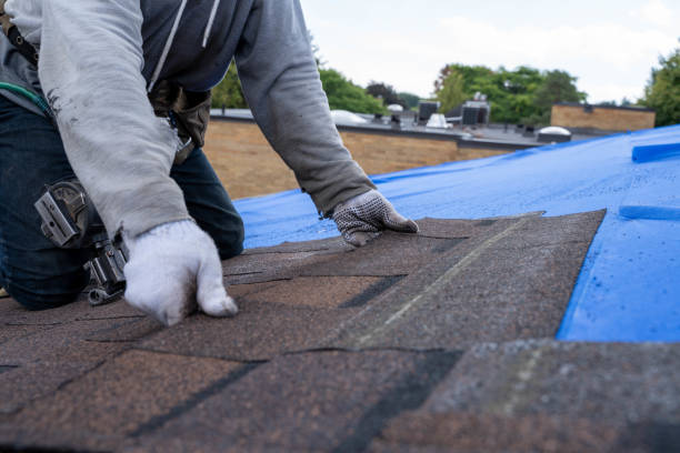 Best Residential Roofing Contractor  in Lawton, MI