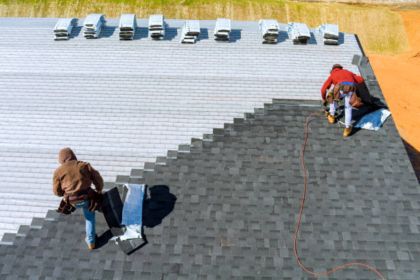 Best Roof Repair Services  in Lawton, MI